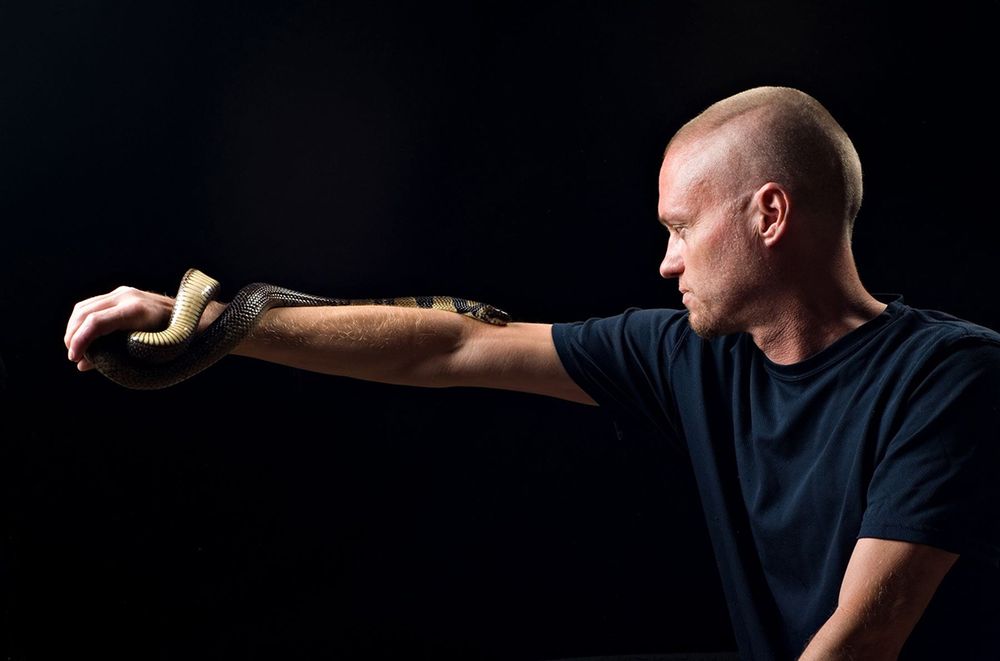 After decades of injecting himself with the venoms of deadly snakes, like the water cobra on his arm, Tim Friede’s blood contains broad-spectrum antibodies that neutralize venom toxins.  CREDIT: Centivax