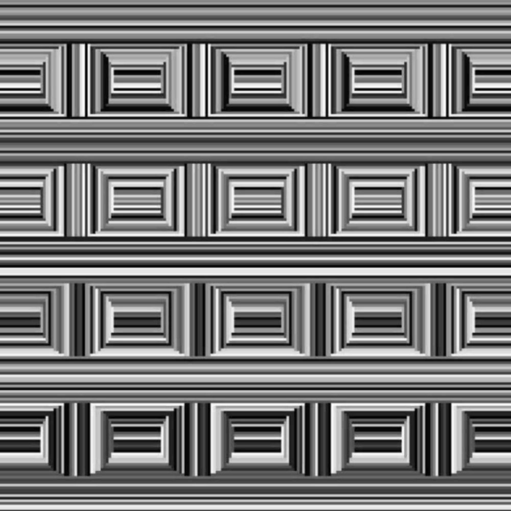 These lines either make rectangles or circles to you.  Anthony Norcia/Smith-Kettlewell Eye Research Institute
