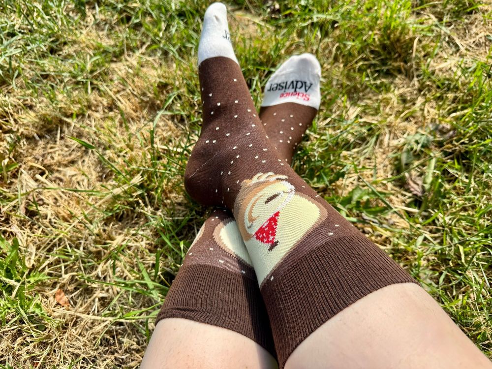 Feet with brown socks that have tardigrades in party hats on them and say "ScienceAdviser"