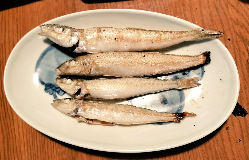 塩焼きにしたシロギスが4匹、楕円形のお皿に乗っている