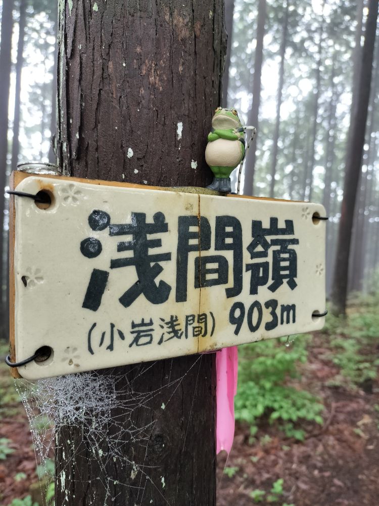 「浅間嶺　小岩浅間　903m」と書かれた陶板が立木に結びつけられている。板の上にカエルのフィギュア。