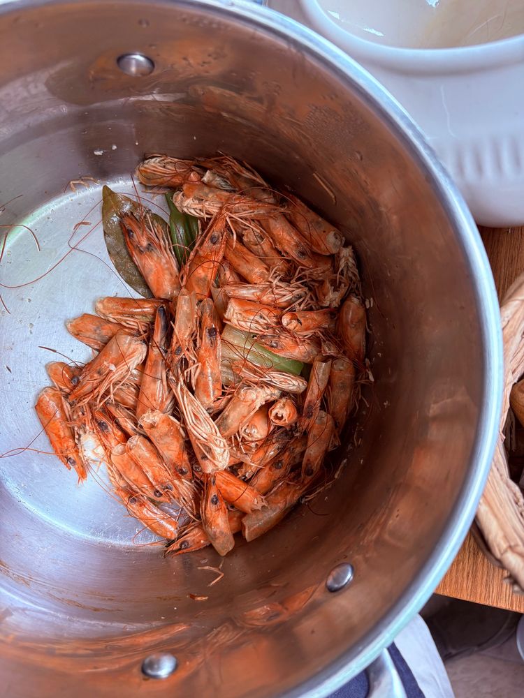 A stainless steel pot lit by soft northern light from a window. 
In it are shrimp heads that have been simmered to make shrimp stock, to be used in shrimp gumbo. They are bright shades of orange and coral. They are beautiful.