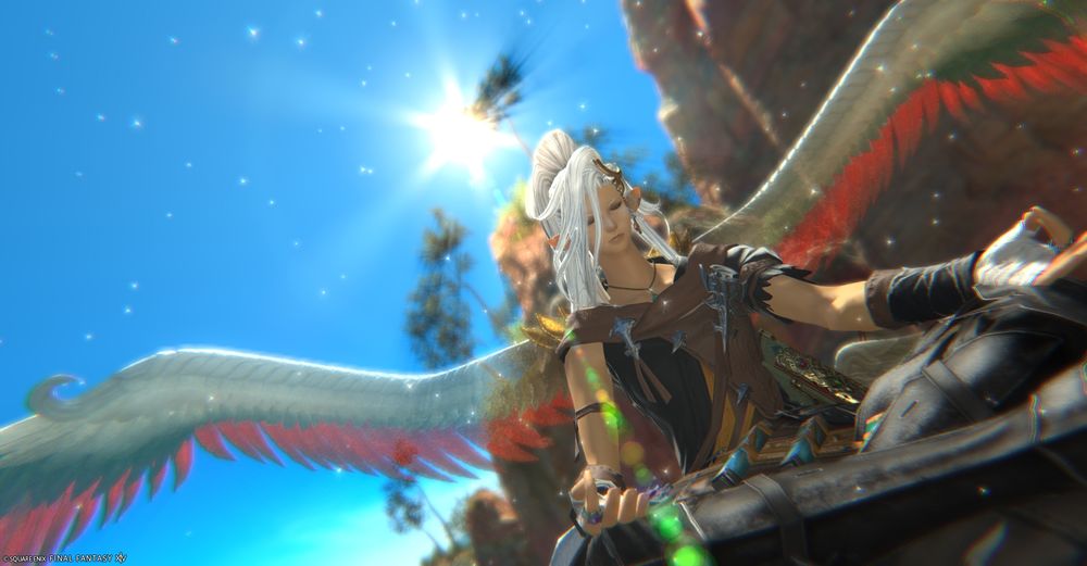 A gpose showing Elina meditating in Worqor Lar Dor. Slightly transparent Valigarmanda's wings begin to appear behind her