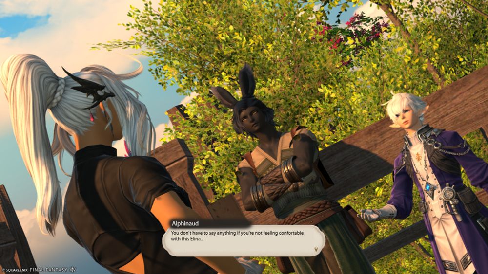 A screenshot focusing on Alphinaud and Erenville. Elina is seen from the back. Alphinaud answers her: "you don't have to say anything if you're not feeling confortable with this Elina..."