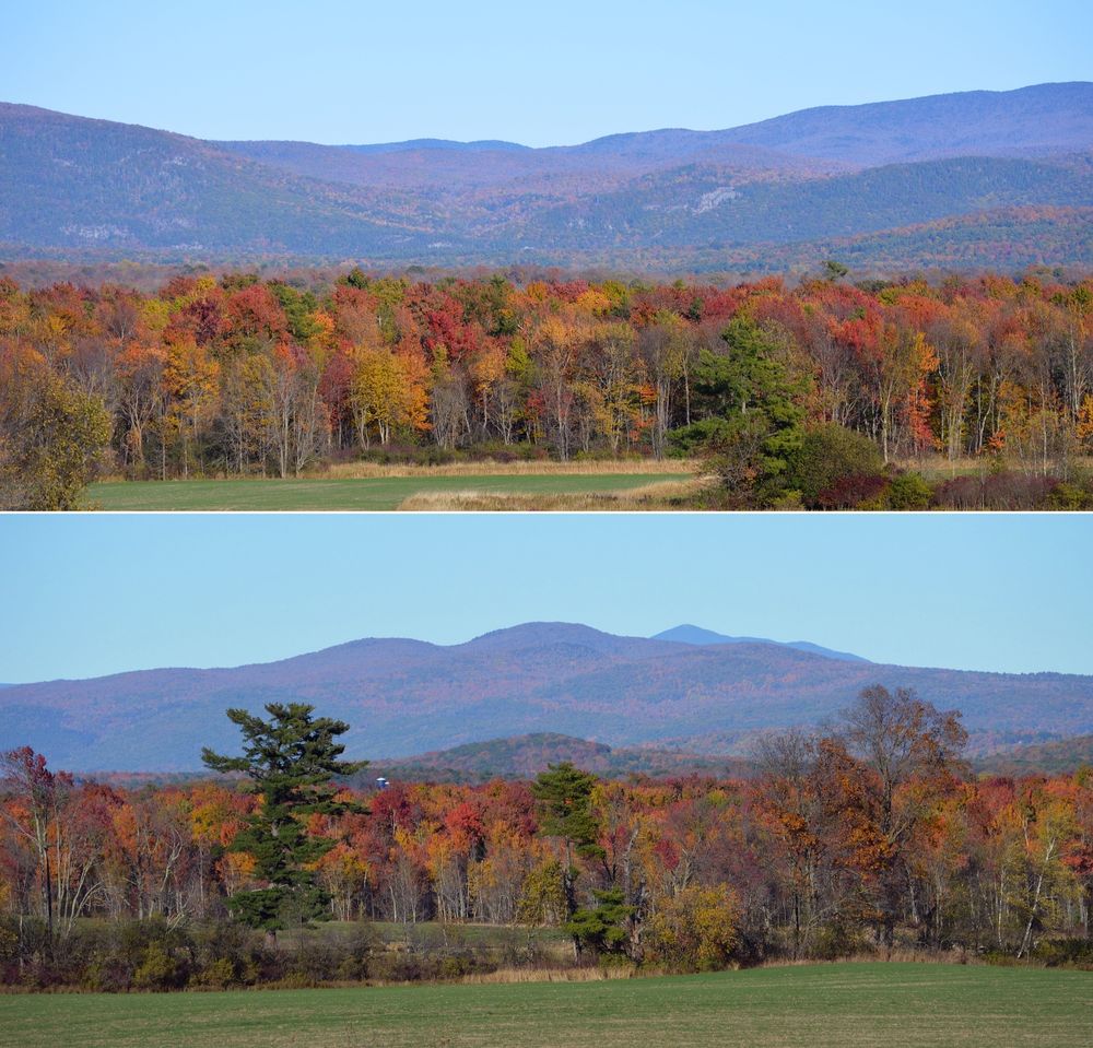 Two images. Both show a deep row of colorful trees - gold, orange, red, green - at the far end of a grassy field, with hazy mountains and pale blue skies above.