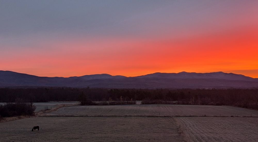 Horse grazing in frosty hayfield oblivious to the brightly colored sky above.