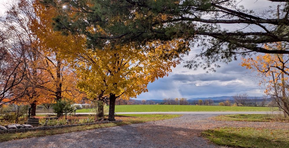 Gray gravel driveway. Trees with orange and gold leaves sit behind dark green pine branches. Green fields, mostly bare trees, dark clouds and mountains in the distance.