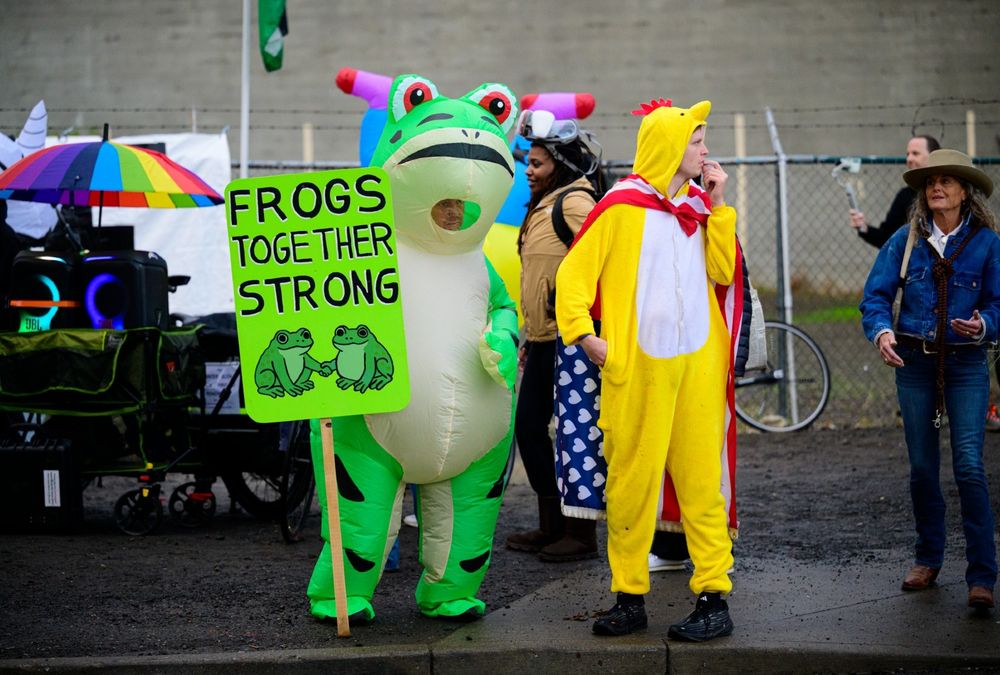 Frog and chicken costumes at an anti-ICE protest