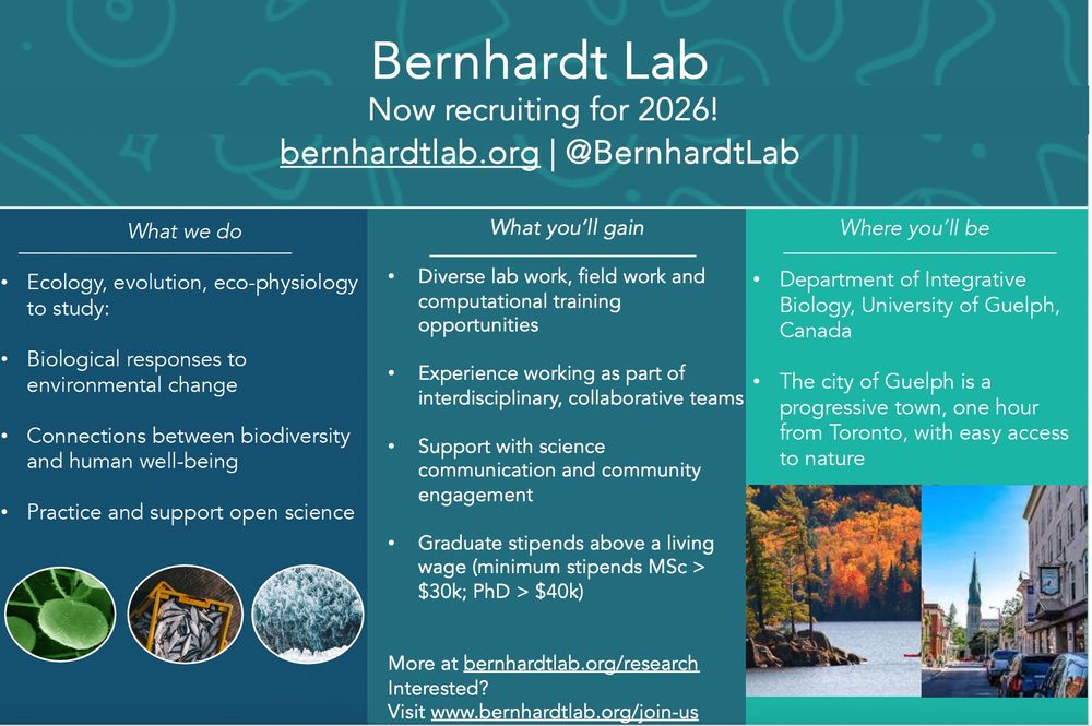 A blue poster describing opportunities to join the Bernhardt Lab -- for more information please see https://www.bernhardtlab.org/join-us