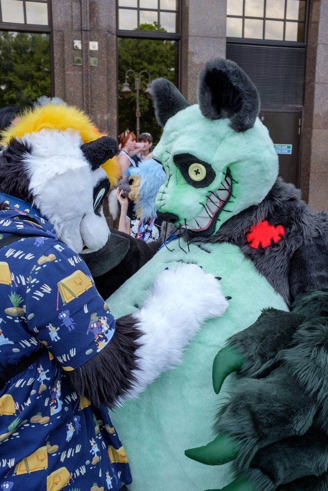 Photo of two panda fursuits interacting