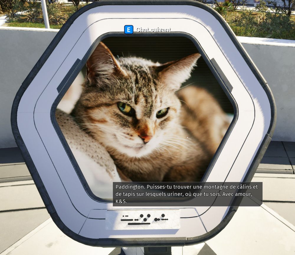 Une photo d'un des mémorial du jeu montrant un chat allongé regardant l'appareil accompagné de la description :
"Paddington. Puisse-tu trouver une montagne de câlins et de tapis sur lesquels uriner, où que tu sois. Avec amour. K&S."