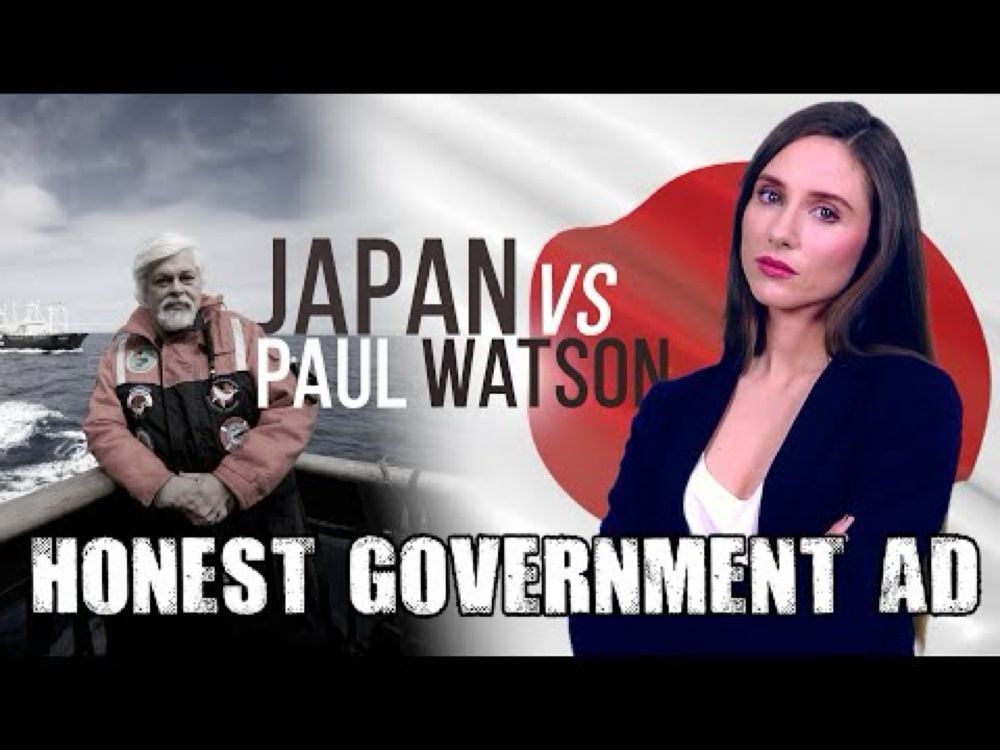 Honest Government Ad | Japan vs Paul Watson 🐋🇯🇵