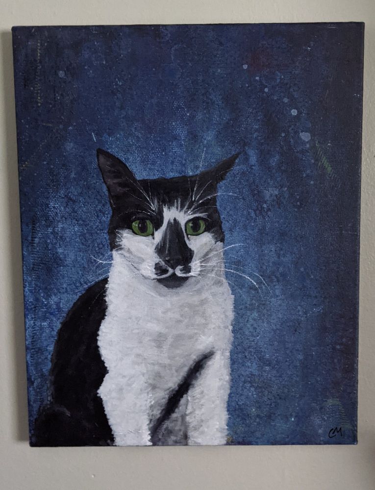On a blue textured background a male tuxedo cat sits majestically 