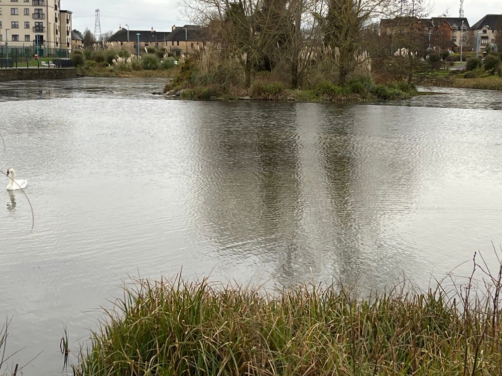 Lake half frozen in Co Cork