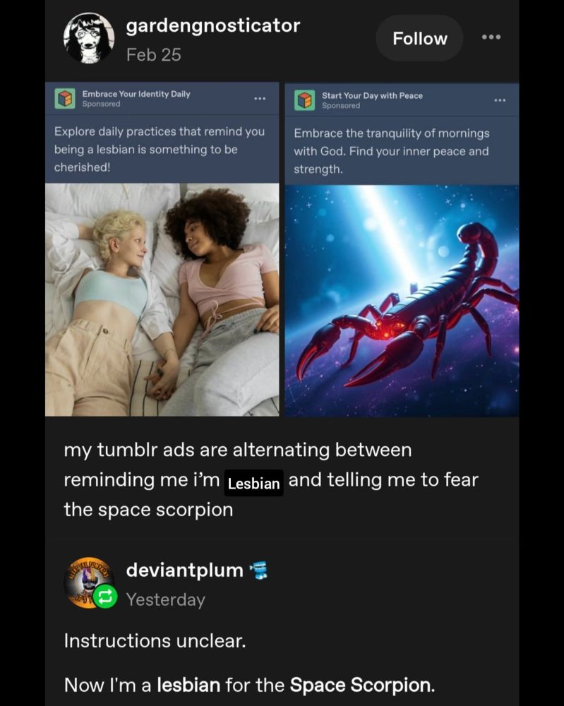A screenshot of screenshots with two targeted ads saying it "Explore daily practices that remind you being a lesbian is something to be cherished!" and "Embrace the tranquility of mornings with God. Find your inner peace," illustrated with a couple holding hands in bed and a glowing scorpion in outer space.

"My Tumblr ads are alternating between telling me I'm Lesbian and telling me to fear the space scorpion" says text.

Next text: instruction unclear. Now I'm lesbian for the space scorpion.