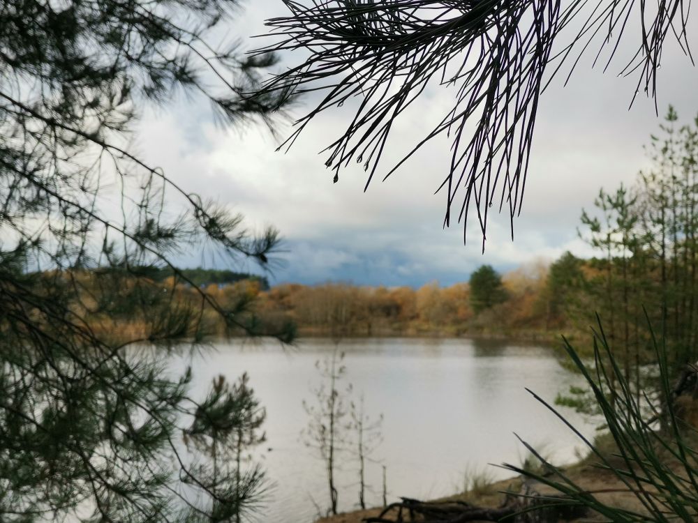 Duinplas, bui in aantocht.. De vliegtuigen vlogen daarom, helaas heel laag, om over stiltegebied 