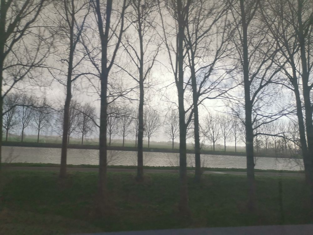 Bui onderweg in de trein 