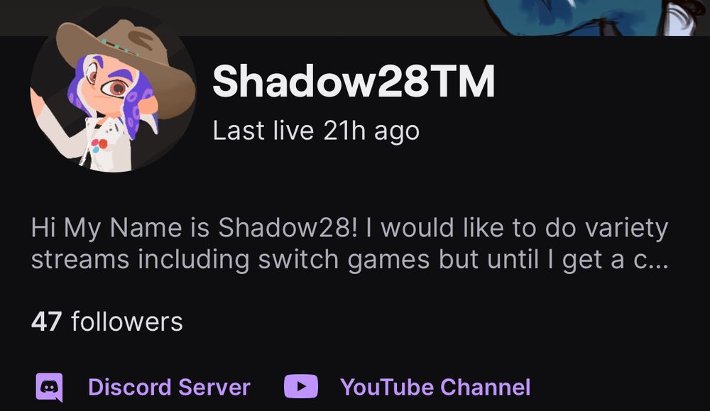 Twitch follower amount