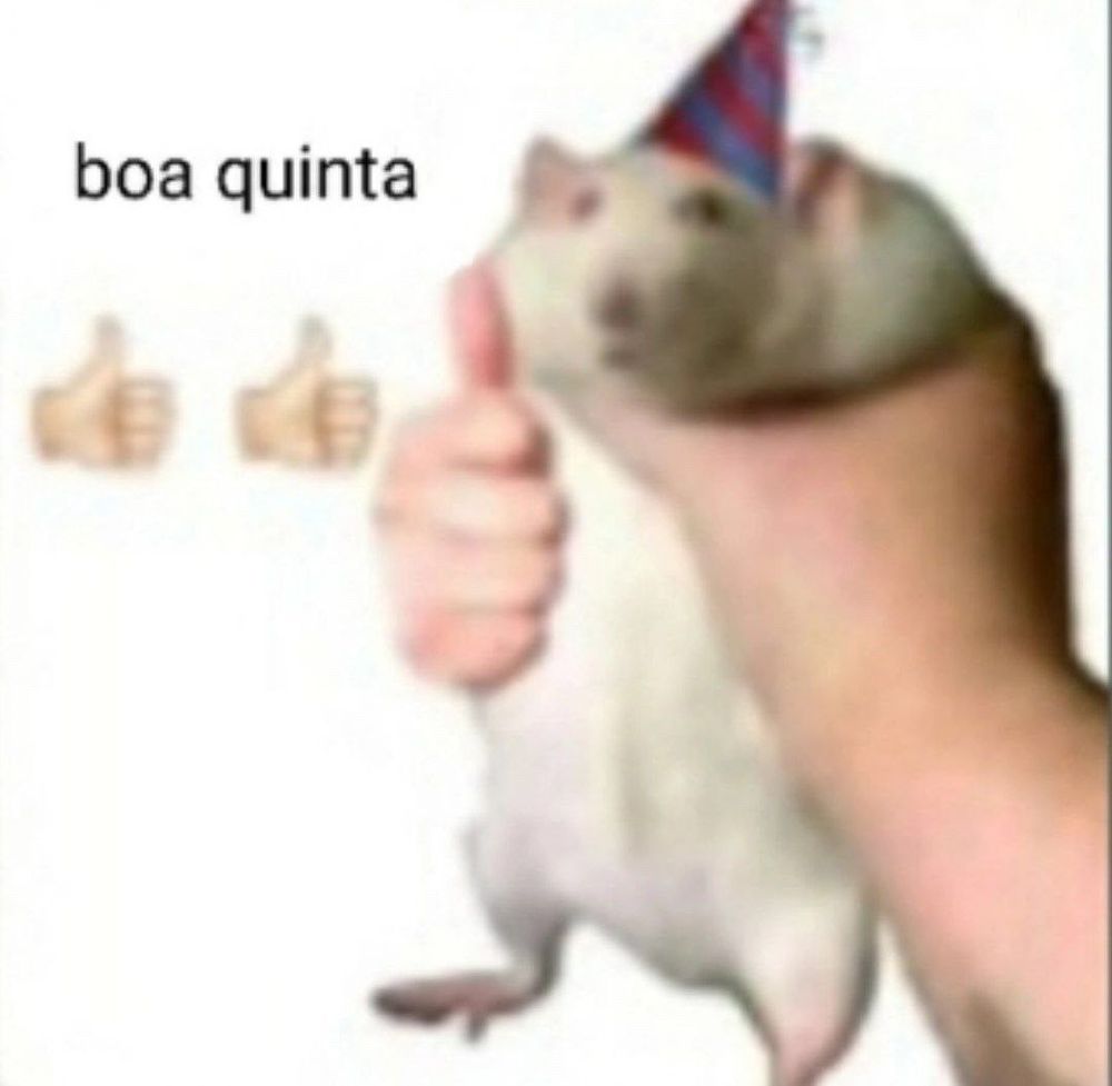 rato com chapéu de festa sendo segurado por uma mão, em contraste com o fundo branco. ao lado lemos os dizeres "boa quinta 👍👍"