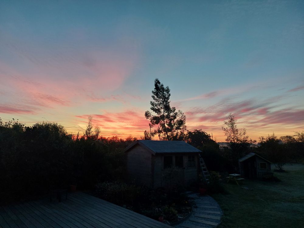 Lever de soleil sur un jardin du Nord de la France