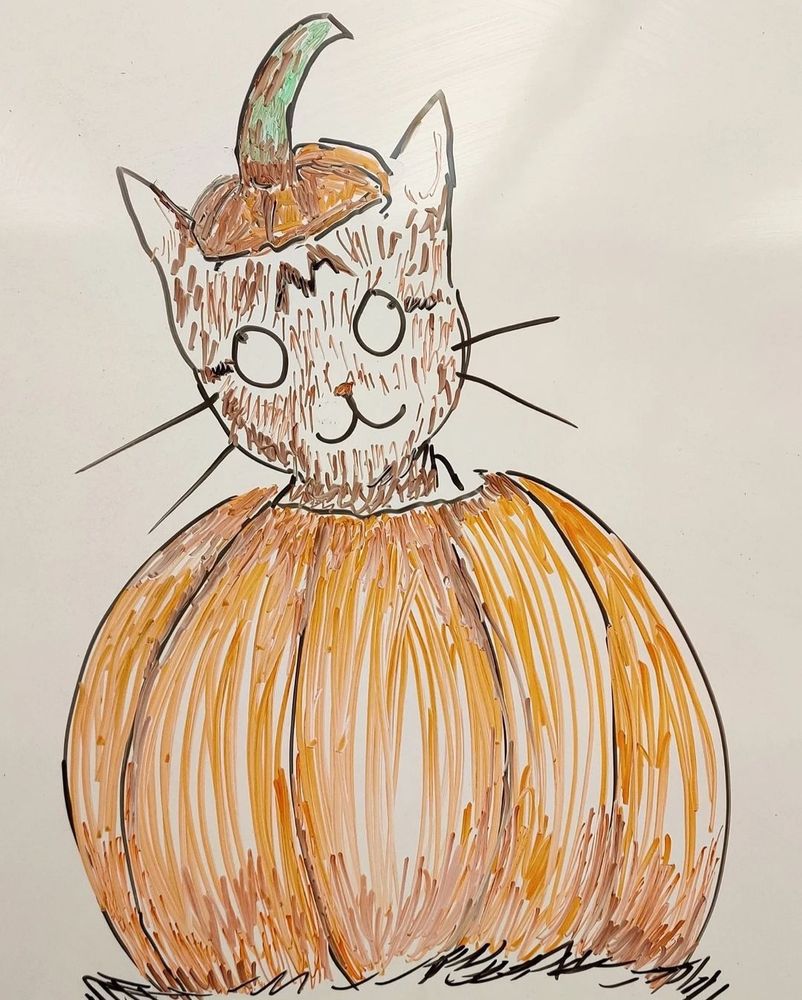 A whiteboard sketch of a cat in a pumpkin. 