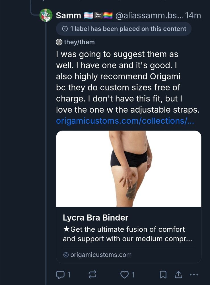 A screenshot of a post w a link for bra binders that's had a "sexually suggestive" label put on it. The preview for the link shows a white body in black lycra shorts. 