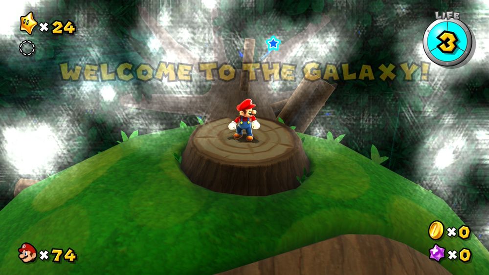 Broken bloom on Tall Trunk 