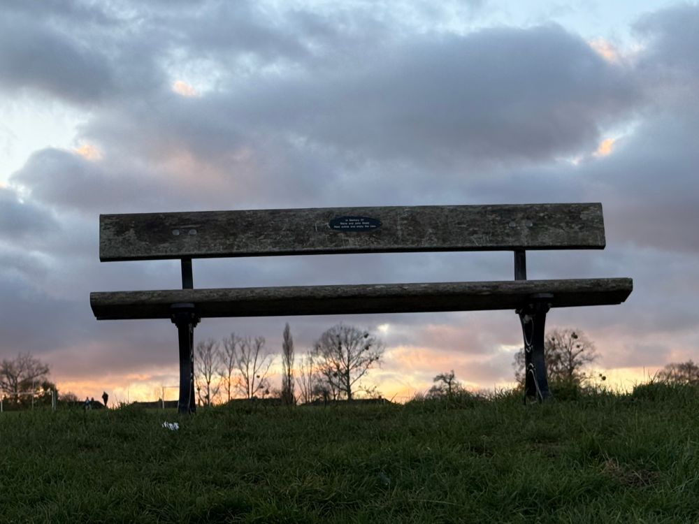 A bench with green grass in front and trees and coloured clouds behind as the sun is setting. It is taken from a low angle so the colour and the trees are seen through the bottom of the bench. 