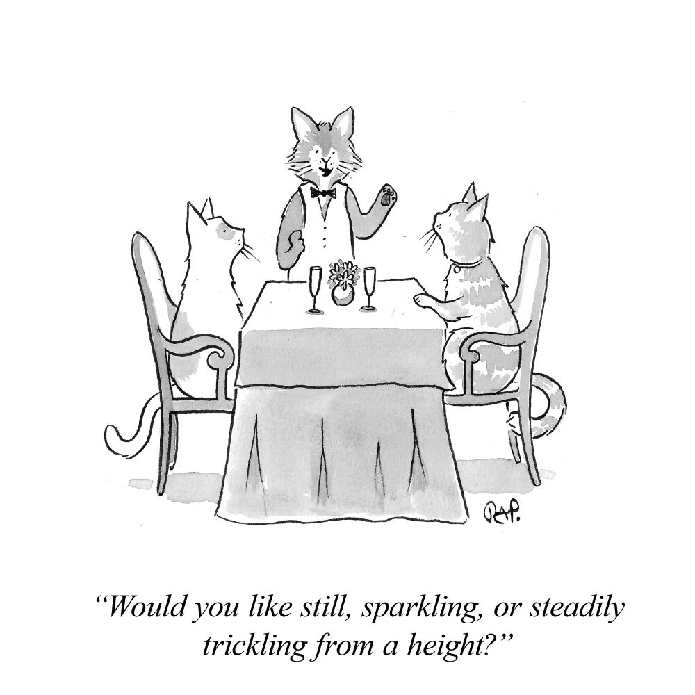 Cartoon of cats sitting at restaurant. The cat-waiter asks, "Would you like still, sparkling, or steadily trickling from a height?"