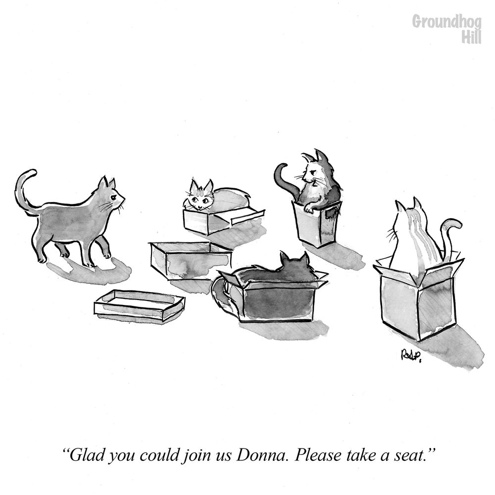 Cartoon of cats in boxes talking to incoming cat. One cat gestures to empty box and says, "Glad you could join us Donna. Please take a seat."