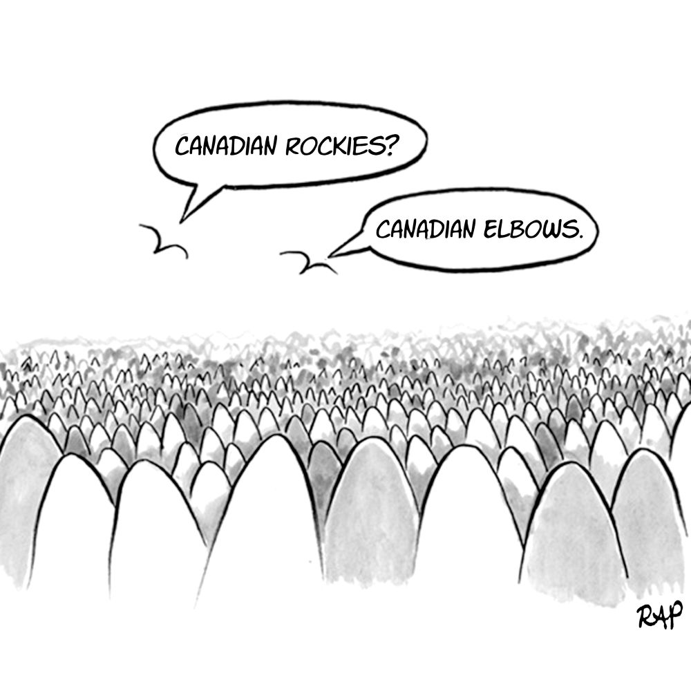 Cartoon of birds flying over what appears to be an endless mountain range. One bird asks, “Canadian Rockies?” Other bird answers, “Canadian elbows.” #ElbowsUp