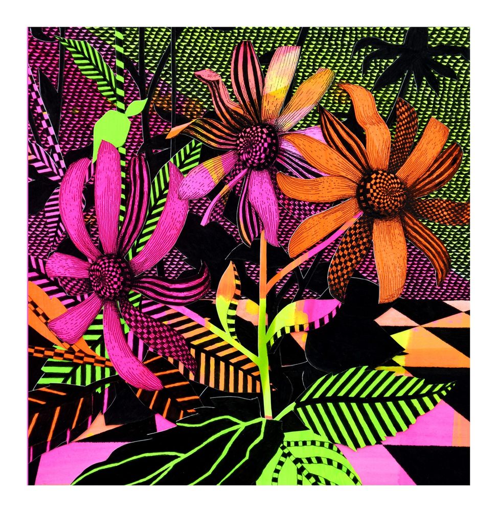 Close-up view of pink and orange coneflowers on a background filled with patterns of black, fluorescent pink, orange, and yellow