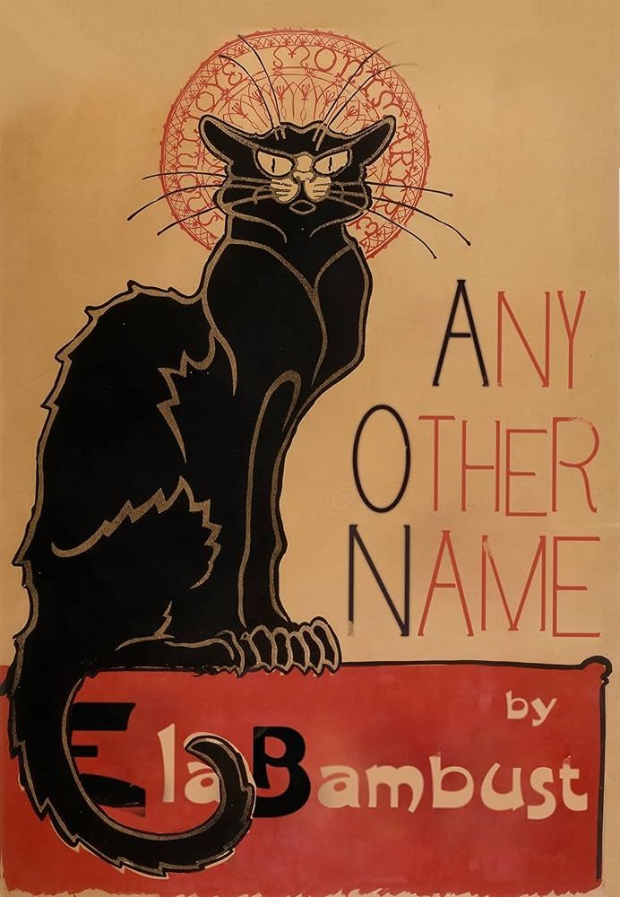A book cover depicting a black cat. The Book is titled "Any Other Name" and is by Ela Bambust.