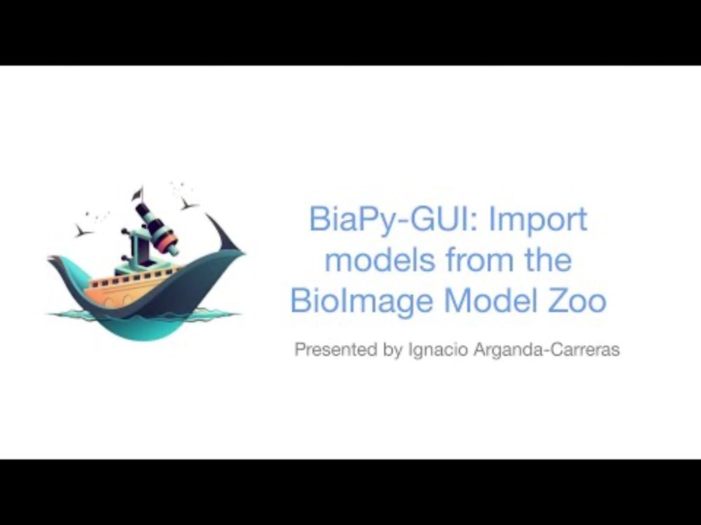 BiaPy GUI: Import models from the BioImage Model Zoo