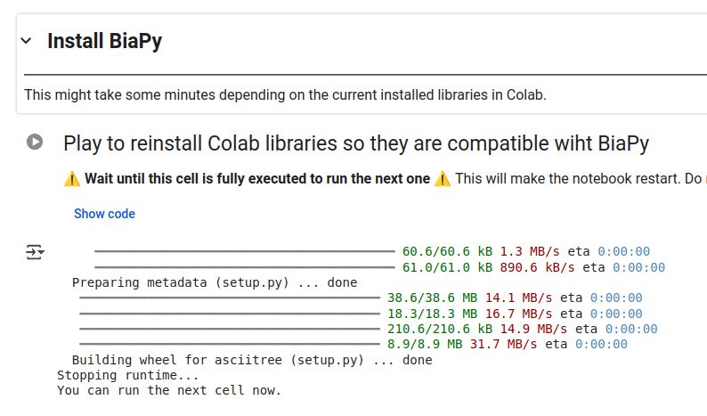 Screenshot of BiaPy notebook showing the installation section. The first part of section reads "Play to reinstall Colab libraries so they are compatible wiht BiaPy. ⚠️ Wait until this cell is fully executed to run the next one ⚠️ This will make the notebook restart. Do not worry and continue executing the next cell once this one is finished."