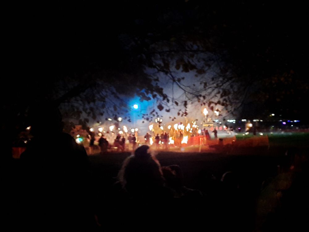 Semi distant group of people all holding torches viewed through the trees. Still sounds a lot like a cult