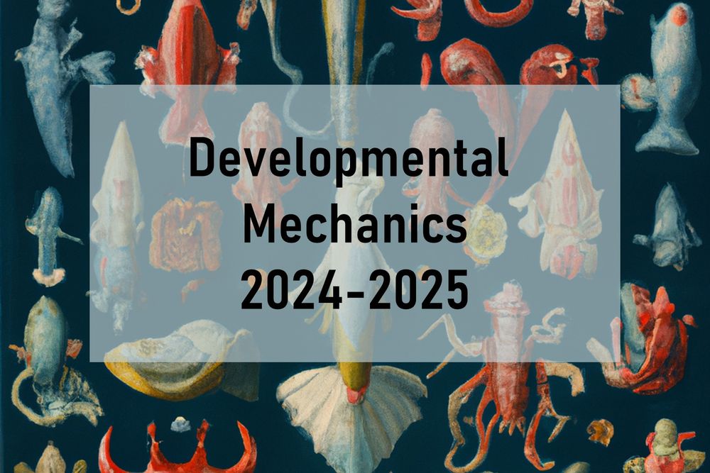Dev Mech 2024-25 logo