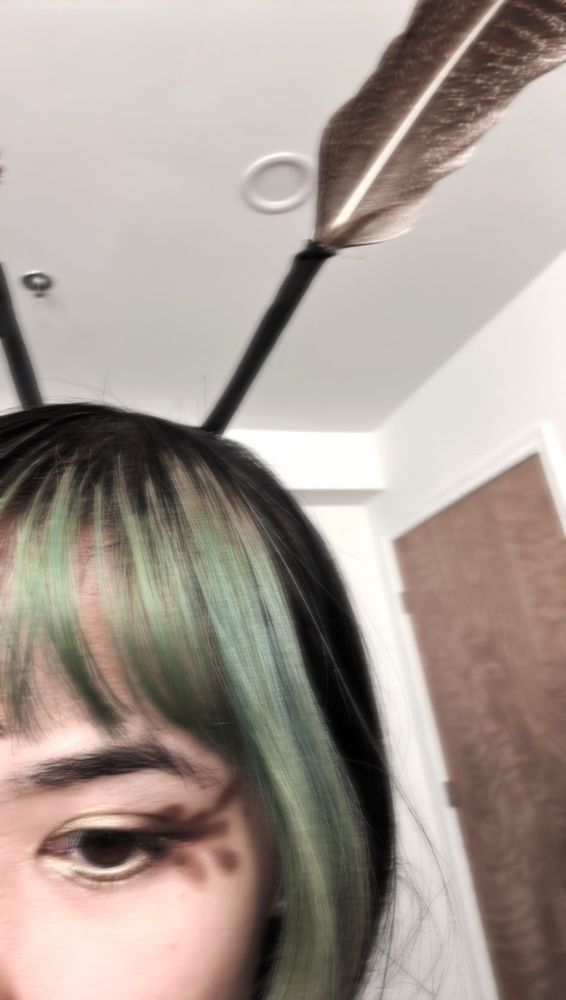 closer pic of make-up: gold and brown feathered eyeshadow