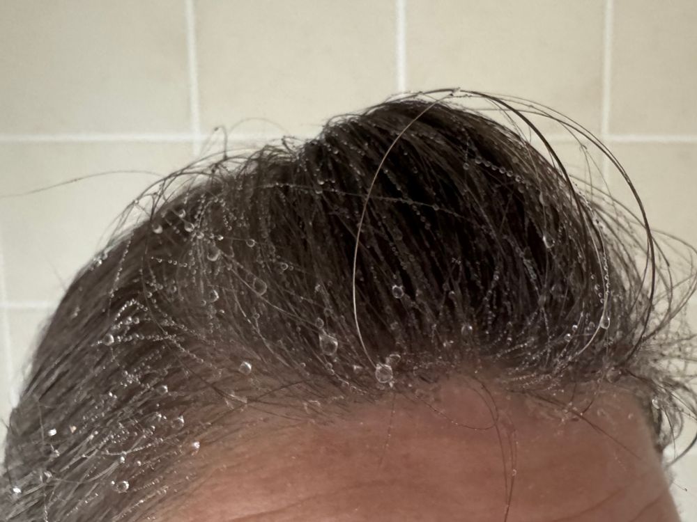 The top of a wrinkled forehead with mousey grey hair in a small quiff and tied into a pony tail. The hair is covered in water droplets. The background is cream bathroom tiles.