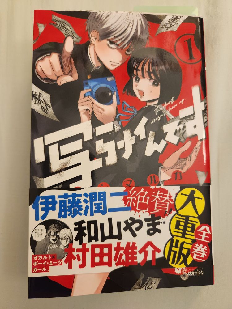 Volume 1 of a manga called Utsuranain desu, or "The ghost doesn't show up". On the cover is a gloomy looking boy, and an upbeat girl holding a camera. 