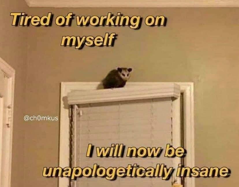 A possum perched atop an ajar exterior door with closed blinds. Text above and below when combined reads, " Tired of working on myself. I will now be unapologetically insane."