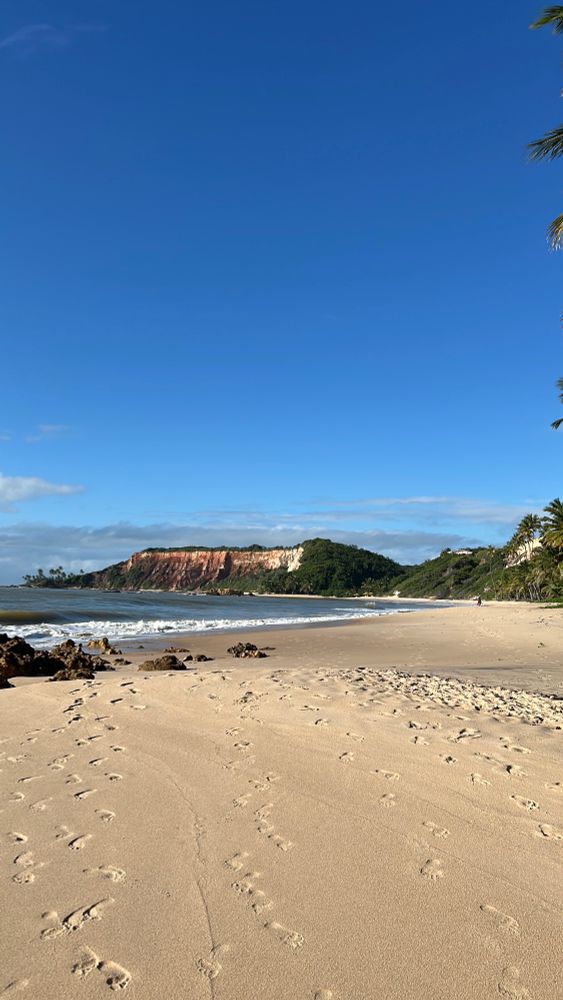 foto de uma praia com falesias ao fundo. praia da tabatinga - conde/pb