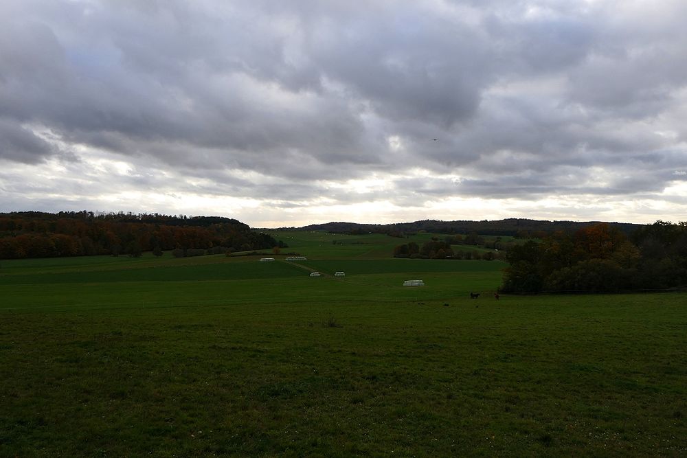 Wiesen, im Hintergrund Wälder mit Herbstlaub und darüber wolkenverhangener Himmel