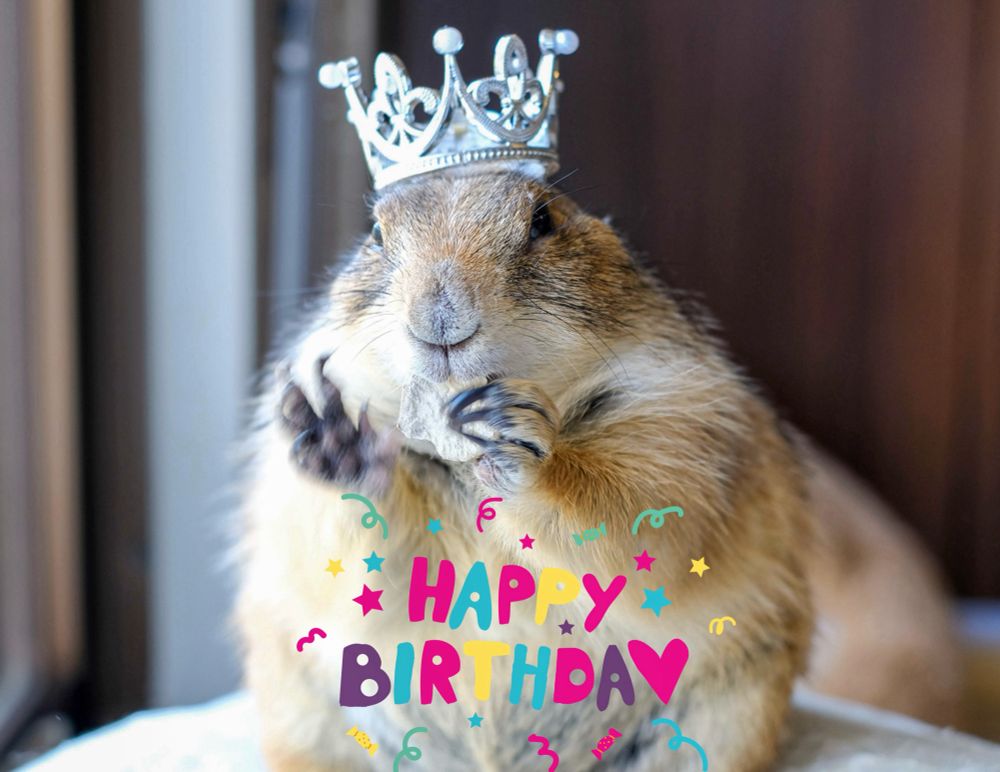 手を振るエリザベス•ハム