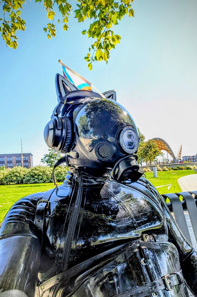 A person wearing a black latex catsuit, hood gas mask and cat headphones.  They are sitting on a park bench looking outwards.