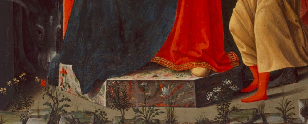 détail d'une peinture: une série de plantes au sol