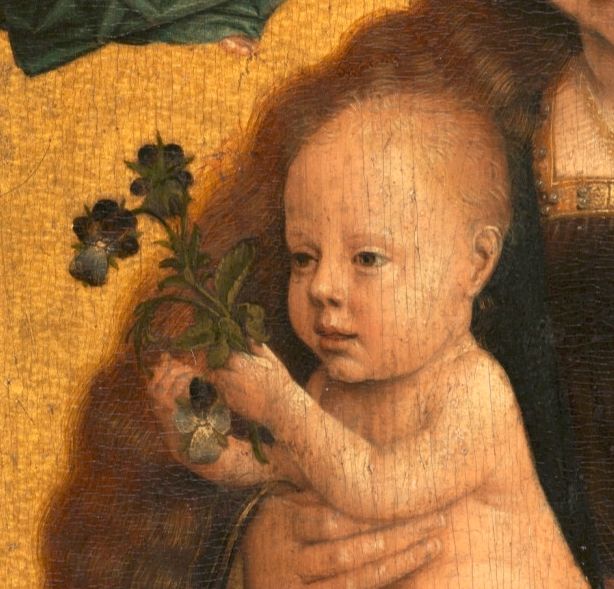 détail d'une peinture: un bébé tenant une pensée