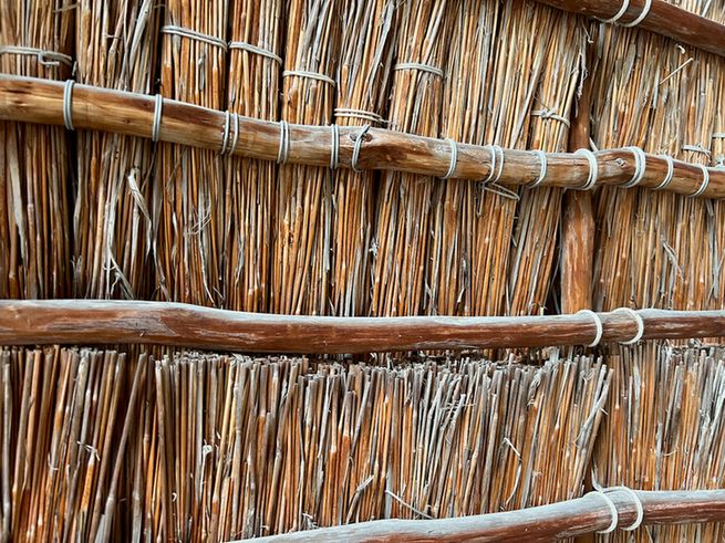 A cropped shot of the inner wall of a hālau wa'a, a canoe house historically made from ōhi'a wood tied with cord and thatched with pili grass.