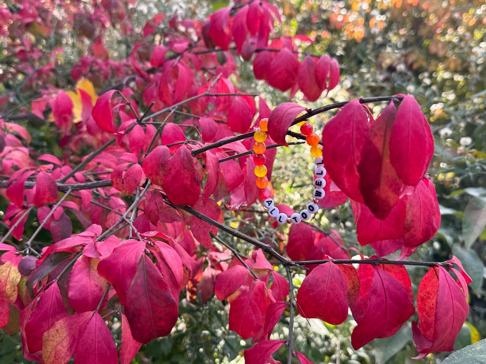 All Too Well bracelet hanging on a branch of a tree with red leaves 