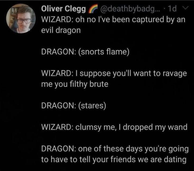 A social media post showing a conversation between a wizard and dragon where the wizard says "oh no I've been captured by an evil dragon", the dragon snorts flame, the wizard responds "I suppose you'll want to ravage me you filthy brute", the dragon stares, the wizard says "clumsy me, I dropped my wand", and the dragon replies "one of these days you're going to have to tell your friends we are dating".